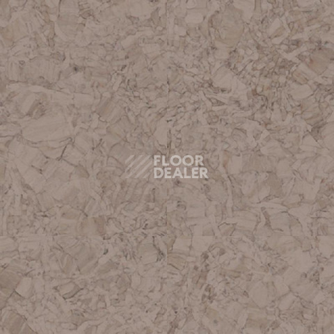Линолеум Tarkett iq Megalit GREY BEIGE 0607 фото 1 | FLOORDEALER